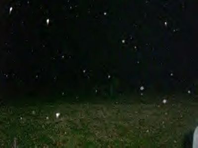 Army of Orbs 1 11-30-08